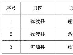 云南大理州“千鄉萬村馭風行動”第一批項目競爭性配置公告